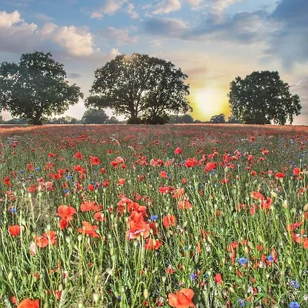 Oberes Ostseeferienhaus Mönkebude